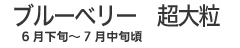 ブルーベリーのナナマル