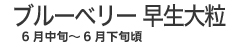 ブルーベリーのナナマル