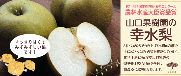 uRʎvy[W
