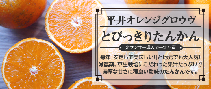 「平井オレンジグロウヴ」ページへ