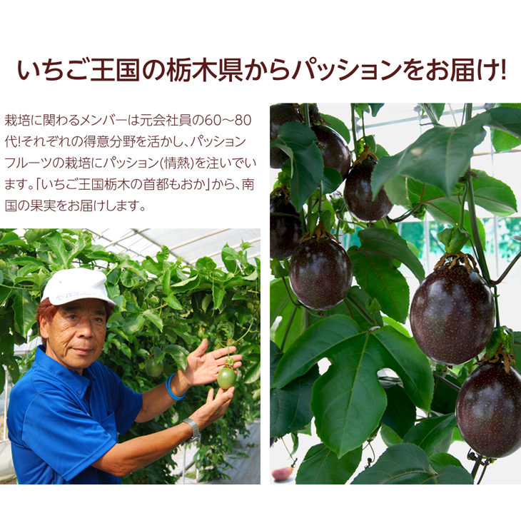 Љ摜03