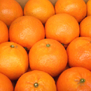 平井オレンジグロウヴ