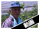 長島農園 取材動画