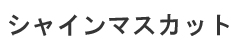 CԂǂ
