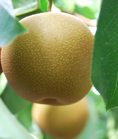 �R���ʎ���